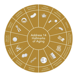 Active highlights — 6000 mg marine collagen & 100 mg hyaluronic acid per sachet