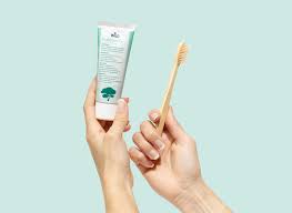 Swiss-made DR. Wild TEBODONT Toothpaste – gum soothing & plaque control