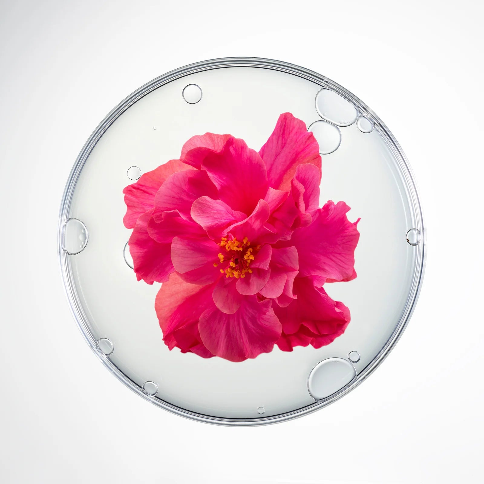 Swiss collagen facial & neck mask set – CellCollagen by Cellcosmet