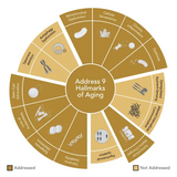 NIANCE Gold Cleansing Peeling ENERGIZE - 60 ML