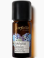 Farfalla – Eucalyptus Globulus Organic Wild Harvest | 100% Pure Essential Oil | 10 ml