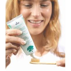 Close-up of DR. Wild TEBODONT-F toothpaste paste on toothbrush – plaque & gum support