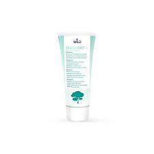 DR. Wild TEBODONT-F Toothpaste – Swiss tea tree oil with fluoride 75 ml Main image