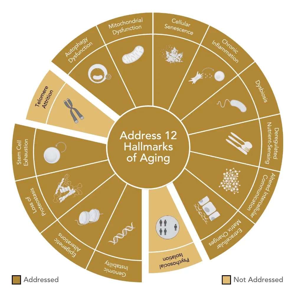 Epigen9 serum texture — lightweight serum droplets on skin
