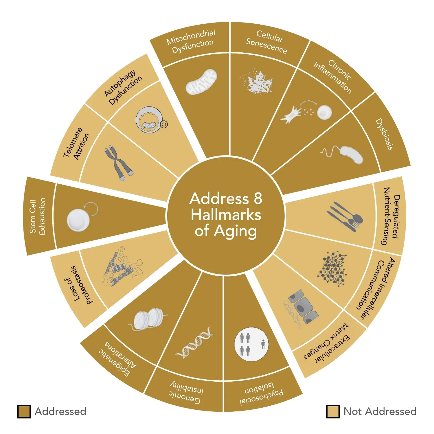 GENR8® BIOTIC SLEEP packaging — box of 30 liquid sachets.