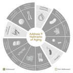 Key actives: Epigen12™, Trans-Resveratrol, Nicotinamide Riboside & CoQ10 (ingredient visual)