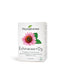 Phytopharma – Echinacea + D3 Capsules | Immune System Support | 60 capsules