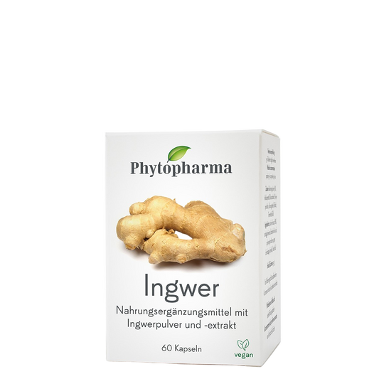 Phytopharma Ginger Capsules box – 60 pcs herbal supplement