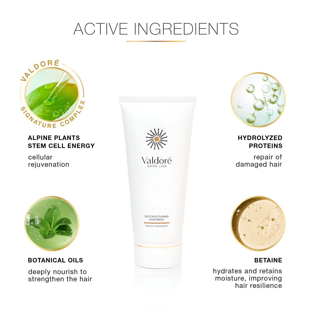 Valdore Hair Mask with Hydrolyzed Proteins and Botanical Oils