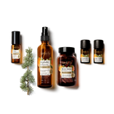 Farfalla – Mentally Strong Depri Helper Aroma Blend | Organic Aromatherapy | 5 ml